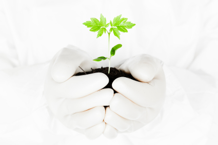 Ecoalimentar3